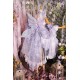 Bramble Rose Flowers and Butterflies Full Set(Leftovers/6 Colours/Full Payment Without Shipping)